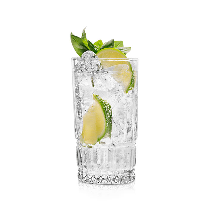 Classic Gin and Tonic Recipe Perfect for Refreshing Moments