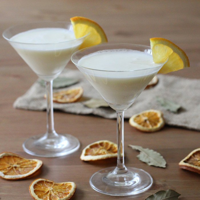 The Perfect Lady Love Fizz Cocktail Recipe for a Refreshing and Elegant Experience