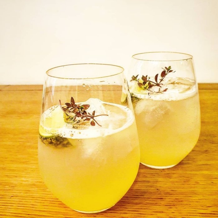 Refreshing Lemon Elderflower Spritzer Recipe for Ultimate Summer Delight