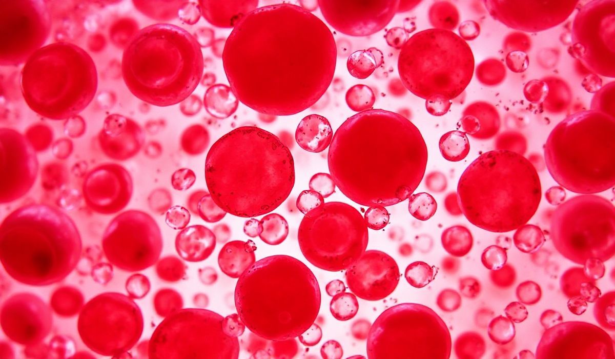 Revealing the Hidden Spectrum: The Discovery of a New Human Blood Group After 50 Years