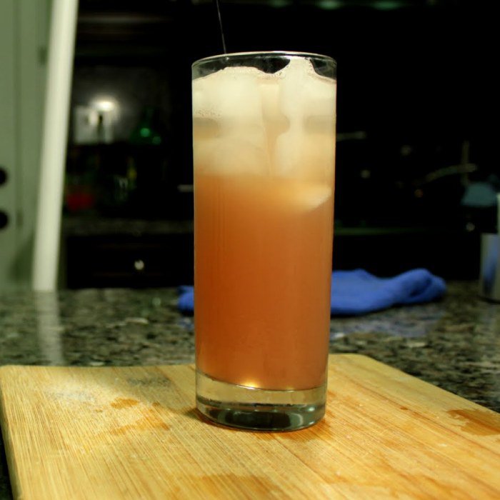 Tequila Fizz Recipe A Refreshing and Festive Cocktail Drink